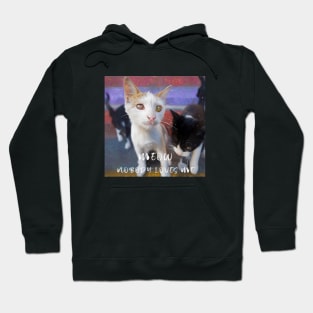 Meow I am a lonely kitty nobody loves me Hoodie